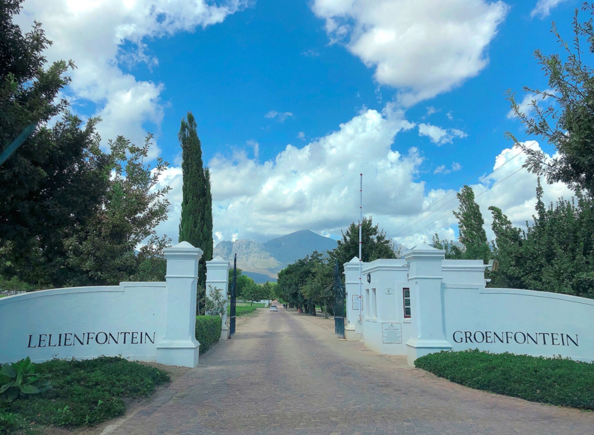 Wellington Terroir Wine Tours 10