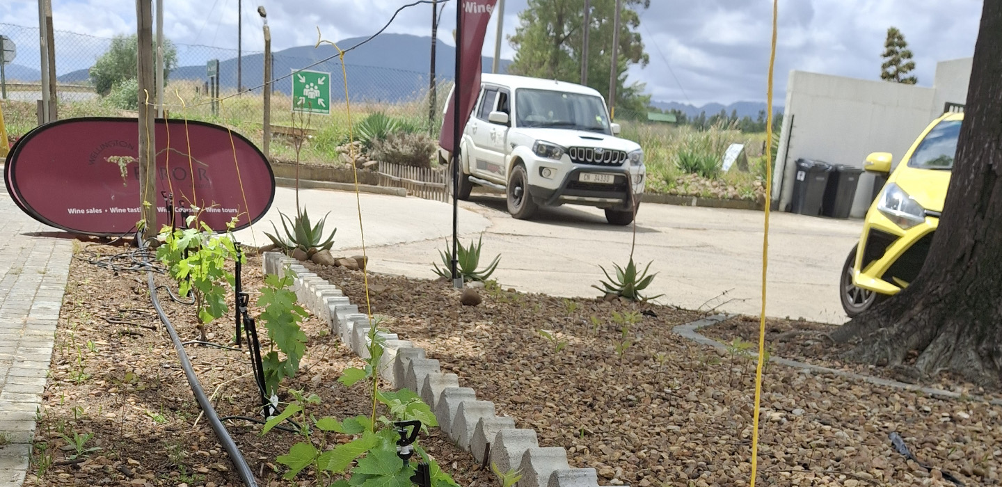Wellington Terroir Wine Tours 2