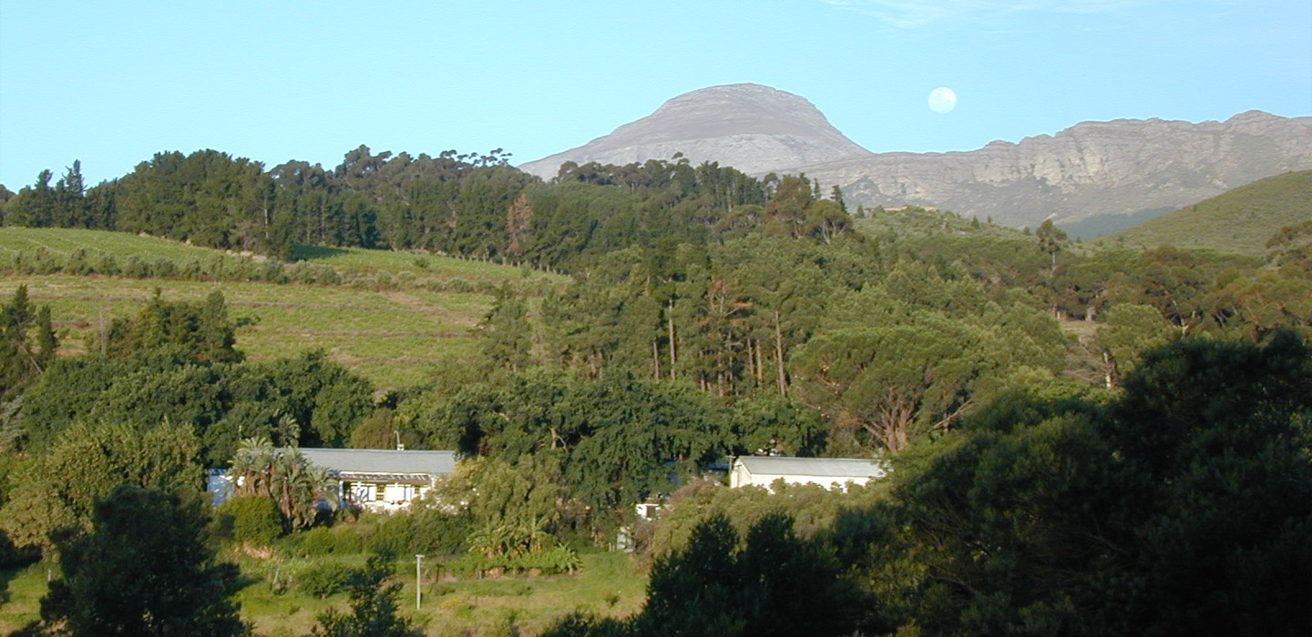 Wellington Terroir Wine Tours 6