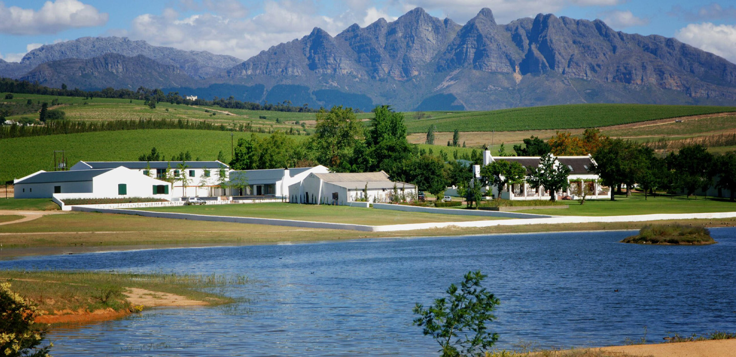 Wellington Terroir Wine Tours 9